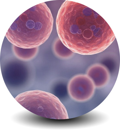 home-product-exosomas